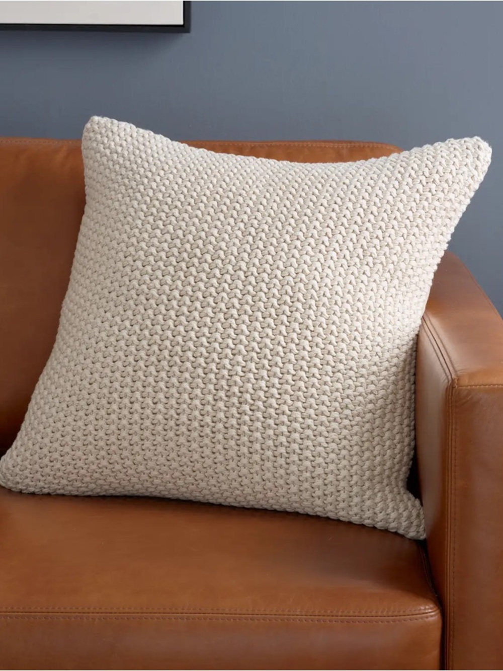 NWOT Quince Cotton Fisherman Pillow Cover, 20 X 20 (Natural)